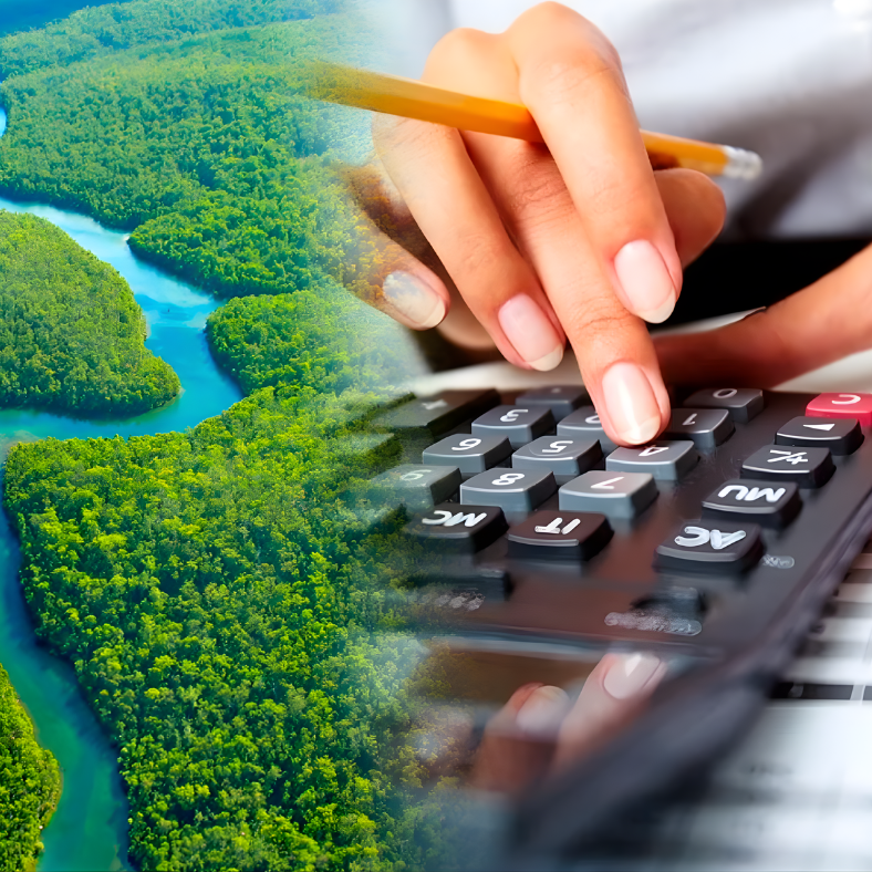TRIBUTACIÓN EN LA AMAZONÍA