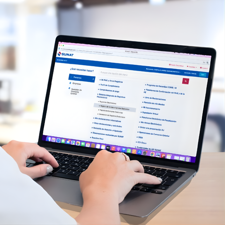 ACTUALIZACIÓN SIRE 2026